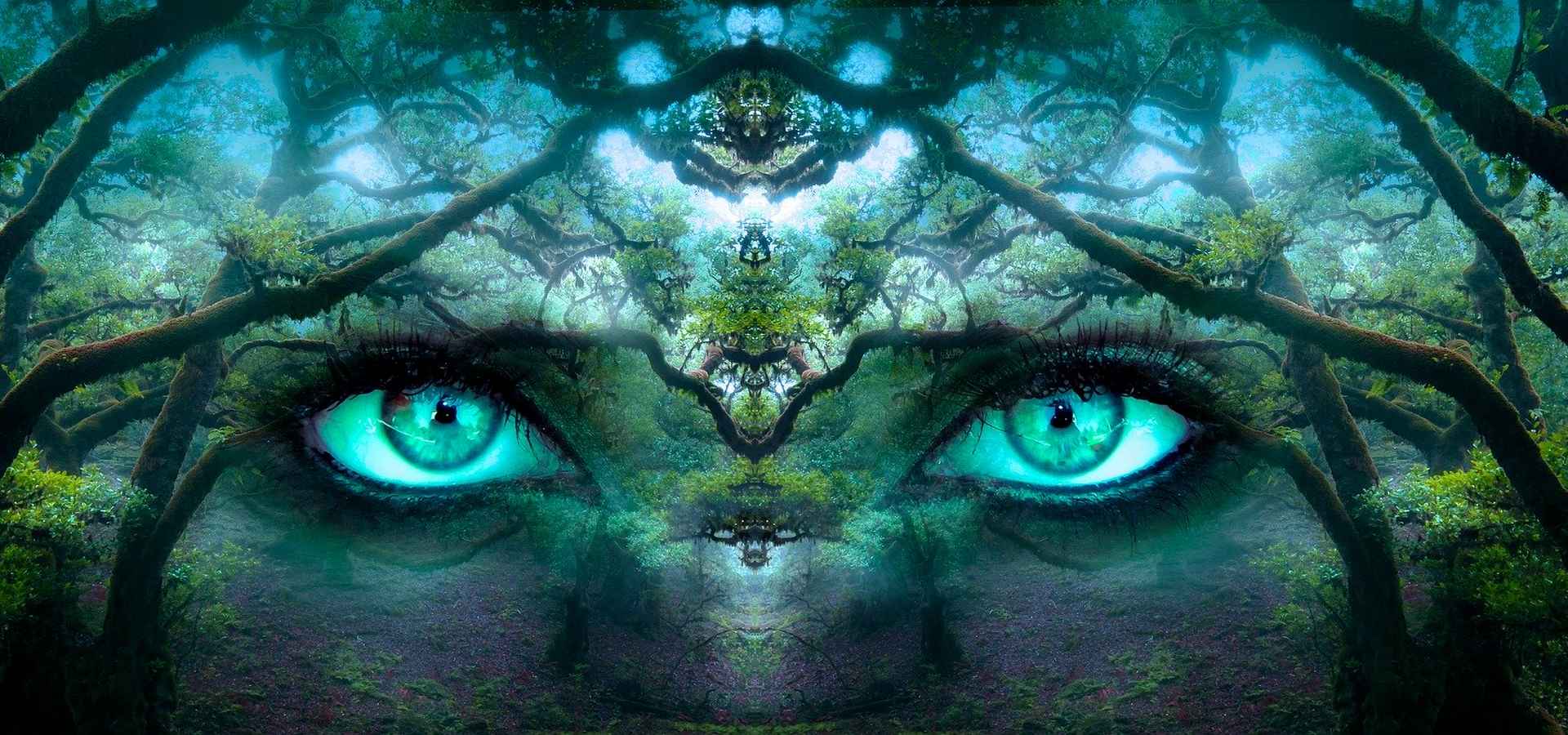 hypnoses-hypnose-regressive-quantique Hypnose regressive quantique